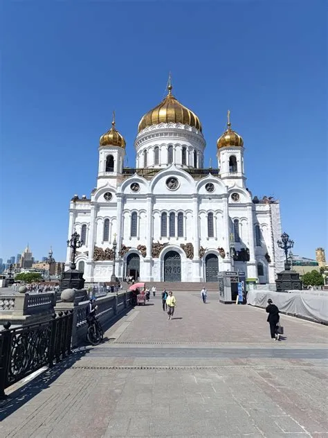 Что посмотреть и когда заказывать